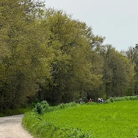 Podere Vasella Panoramic Attic Capranica